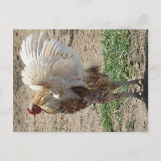 「萌え」 ポストカード