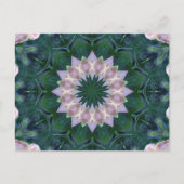 萩曼荼羅 ポストカード (正面)