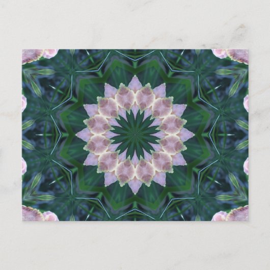 萩曼荼羅 ポストカード (正面)