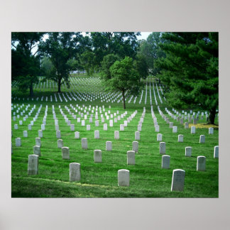 落ちたしか忘れし ポスター