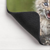 落ちたな木に見ているベビーのオオヤマネコ マウスパッド (コーナー)