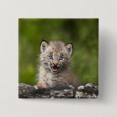 落ちたな木に見ているベビーのオオヤマネコ 缶バッジ (正面)