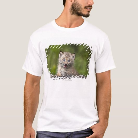 落ちたな木に見ているベビーのオオヤマネコ Tシャツ (正面)