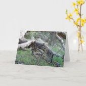 落ちたな木 カード (黄色い花)