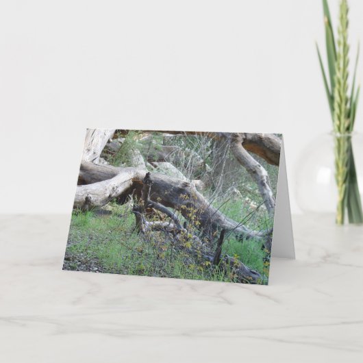 落ちたな木 カード (正面)