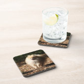 落ちたな葉で小走りに走るポメラニア犬 コースター (右側)