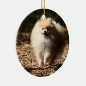 落ちたな葉で小走りに走るポメラニア犬 セラミックオーナメント (右)