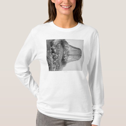 落ちたの西からの悪魔のタワー Tシャツ (正面)