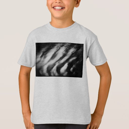 落ちたハゲタカ Tシャツ (正面)
