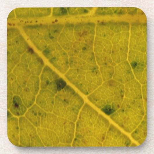 落ちたリーフ15A コースター (正面)