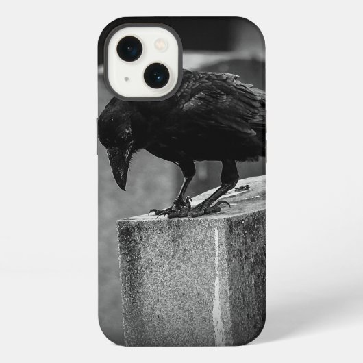 落ちた墓地のカラス iPhoneケース (裏面)