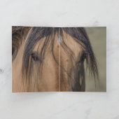 落ちた星の肖像　ワイルドホースのグリーティングカード サンキューカード (内部)