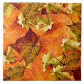 落ちた紅葉 タイル (正面)