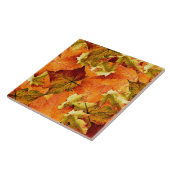 落ちた紅葉 タイル (側面)