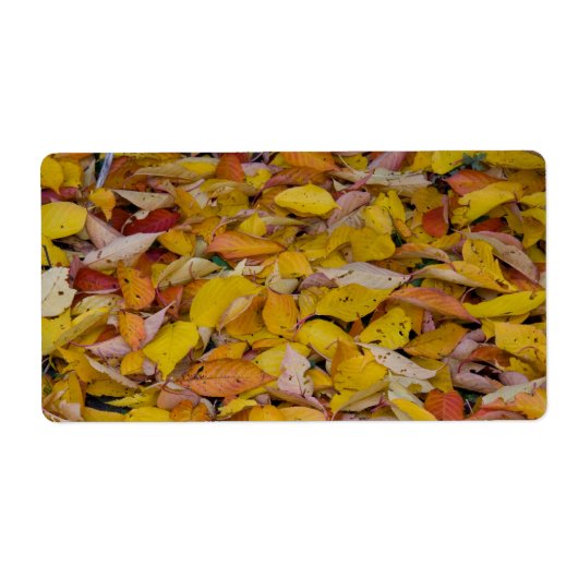 落ちた紅葉 ラベル (正面)