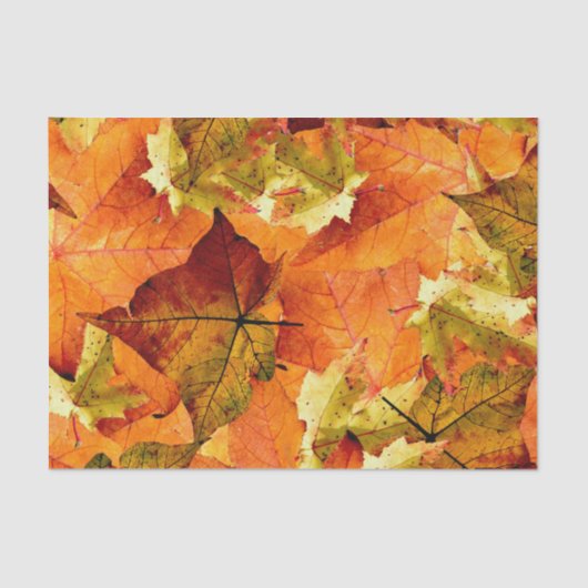 落ちた紅葉 薄葉紙 (正面)