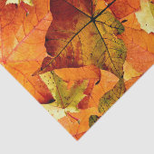 落ちた紅葉 薄葉紙 (詳細)