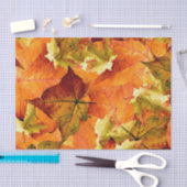 落ちた紅葉 薄葉紙 (クラフト)