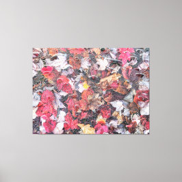 落ちた葉 キャンバスプリント