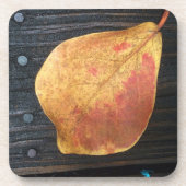 落ちた葉 コースター (正面)