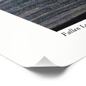 落ちた葉 フォトプリント (角)