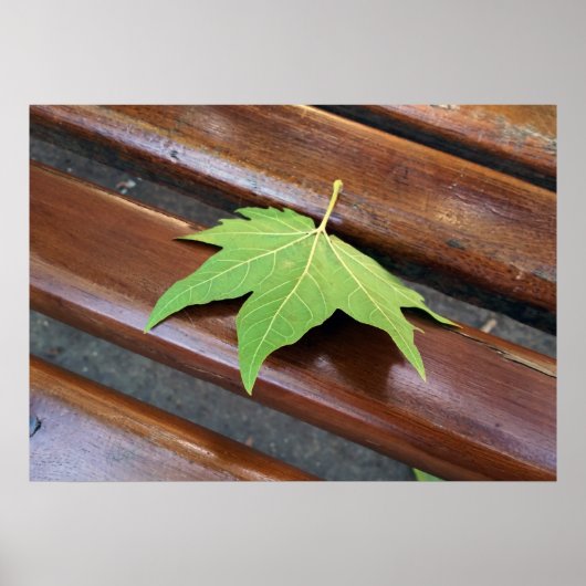 落ちた葉 ポスター (正面)