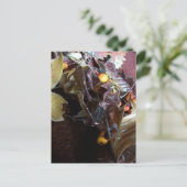 落ちた葉 ポストカード (スタンド正面)