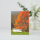 落ちた ポストカード (スタンド正面)