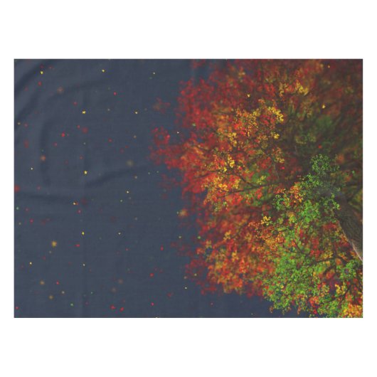 落ちるレインボーテーブルクロス テーブルクロス (正面(横))