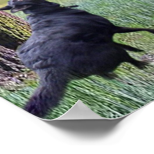 落ちる猫 ポスター (角)