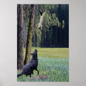 落ちる猫 ポスター (正面)