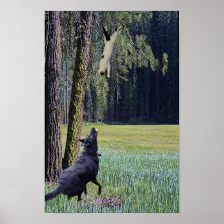 落ちる猫 ポスター