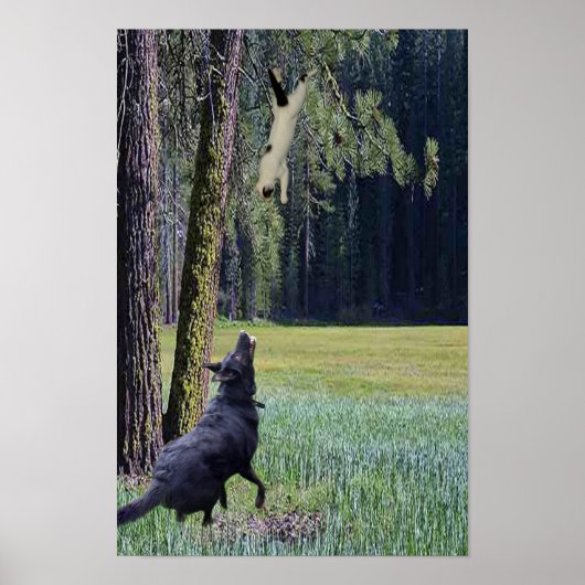 落ちる猫 ポスター (正面)