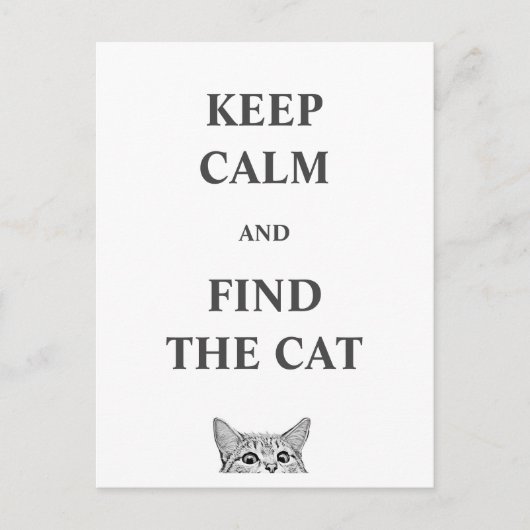 落ち保着いて猫を見つける ポストカード (正面)