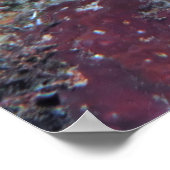 落ち着いたイカ ポスター (角)