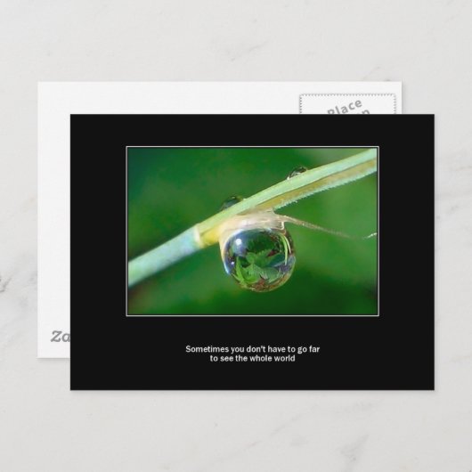 落ち着いた世界 ポストカード (正面/裏面)