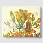 落ち着いた尊敬すべきウェイクサービスのゲストブック ゲストブック (裏面)