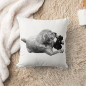 落ち着いた愛情 クッション (ブランケット)