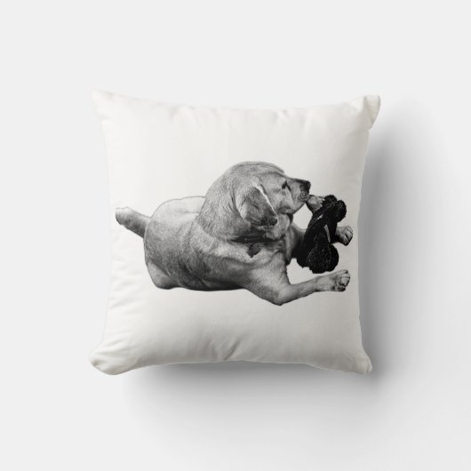 落ち着いた愛情 クッション (正面)