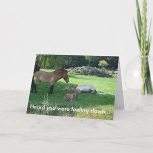 落ち着いた感じと聞いて… カード