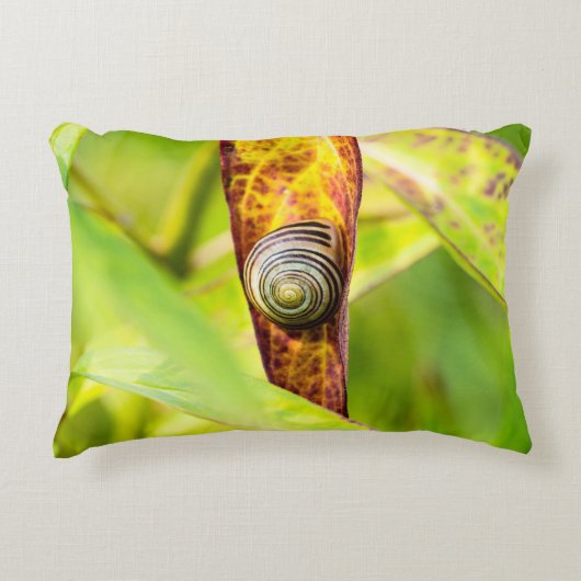 落ち着いた態度 アクセントクッション (正面)