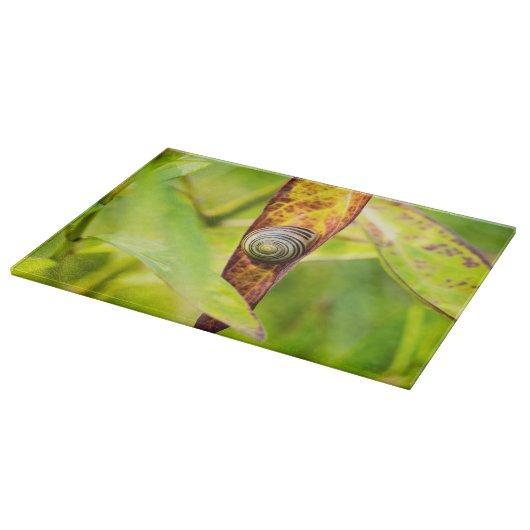 落ち着いた態度 カッティングボード (角)