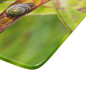 落ち着いた態度 カッティングボード (角)