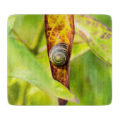 落ち着いた態度 カッティングボード (正面)