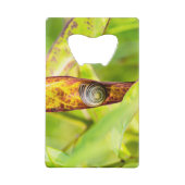 落ち着いた態度 クレジットカード栓抜き (裏面)