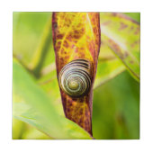 落ち着いた態度 タイル (正面)