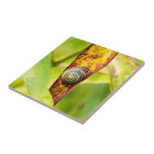 落ち着いた態度 タイル (側面)