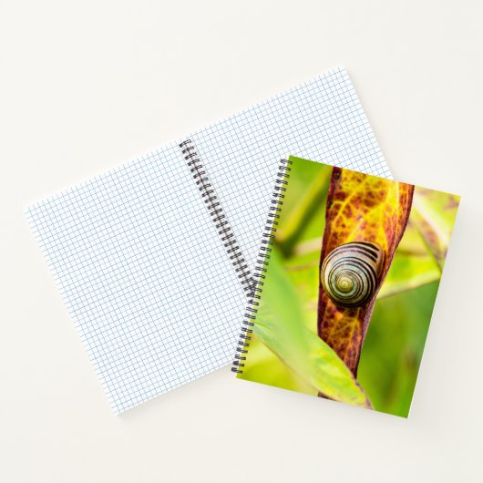 落ち着いた態度 ノートブック (内部)