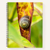 落ち着いた態度 ノートブック (正面)