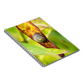 落ち着いた態度 ノートブック (右側)